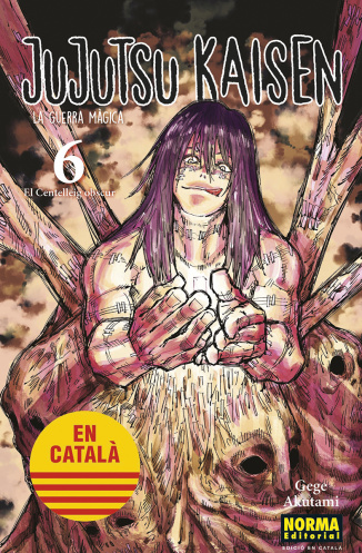 JUJUTSU KAISEN 06 (ED. CATALÀ)