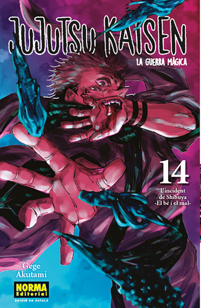 JUJUTSU KAISEN 14 (ED. CATALÀ)